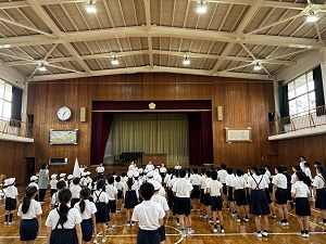 IMG_4247 IMG_4247