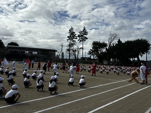IMG_4287 IMG_4287
