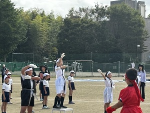 IMG_4297 IMG_4297