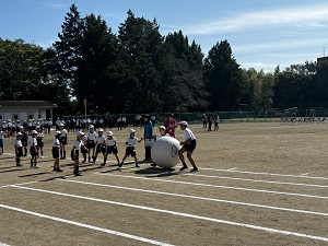 IMG_4318