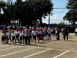 IMG_4319 IMG_4319