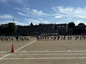 IMG_4345 IMG_4345