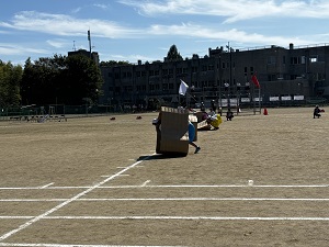 IMG_4336 IMG_4336