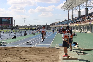 IMG_3676 IMG_3676