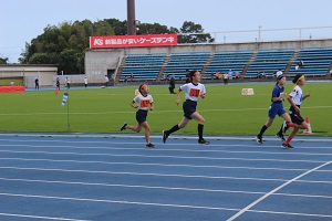 IMG_3711 IMG_3711