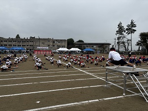 IMG_4392 IMG_4392