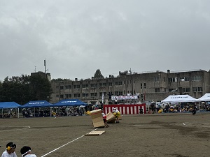 IMG_4431