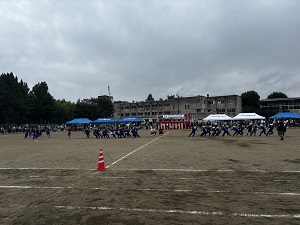 IMG_4451