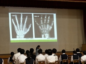 IMG_4595 IMG_4595