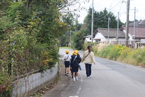 IMG_4525 IMG_4525