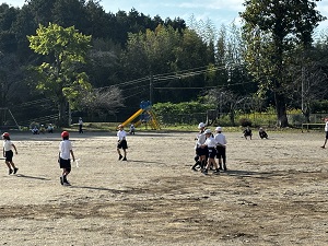 IMG_4619 IMG_4619