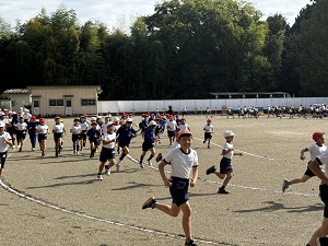 IMG_4663 - コピー IMG_4663 - コピー