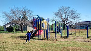 IMG_4739 IMG_4739