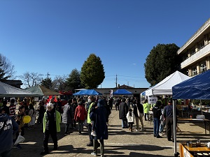 IMG_4959 IMG_4959