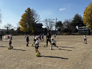 IMG_5263