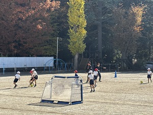 IMG_5268