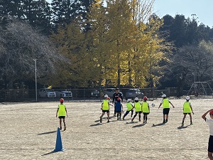 IMG_5274