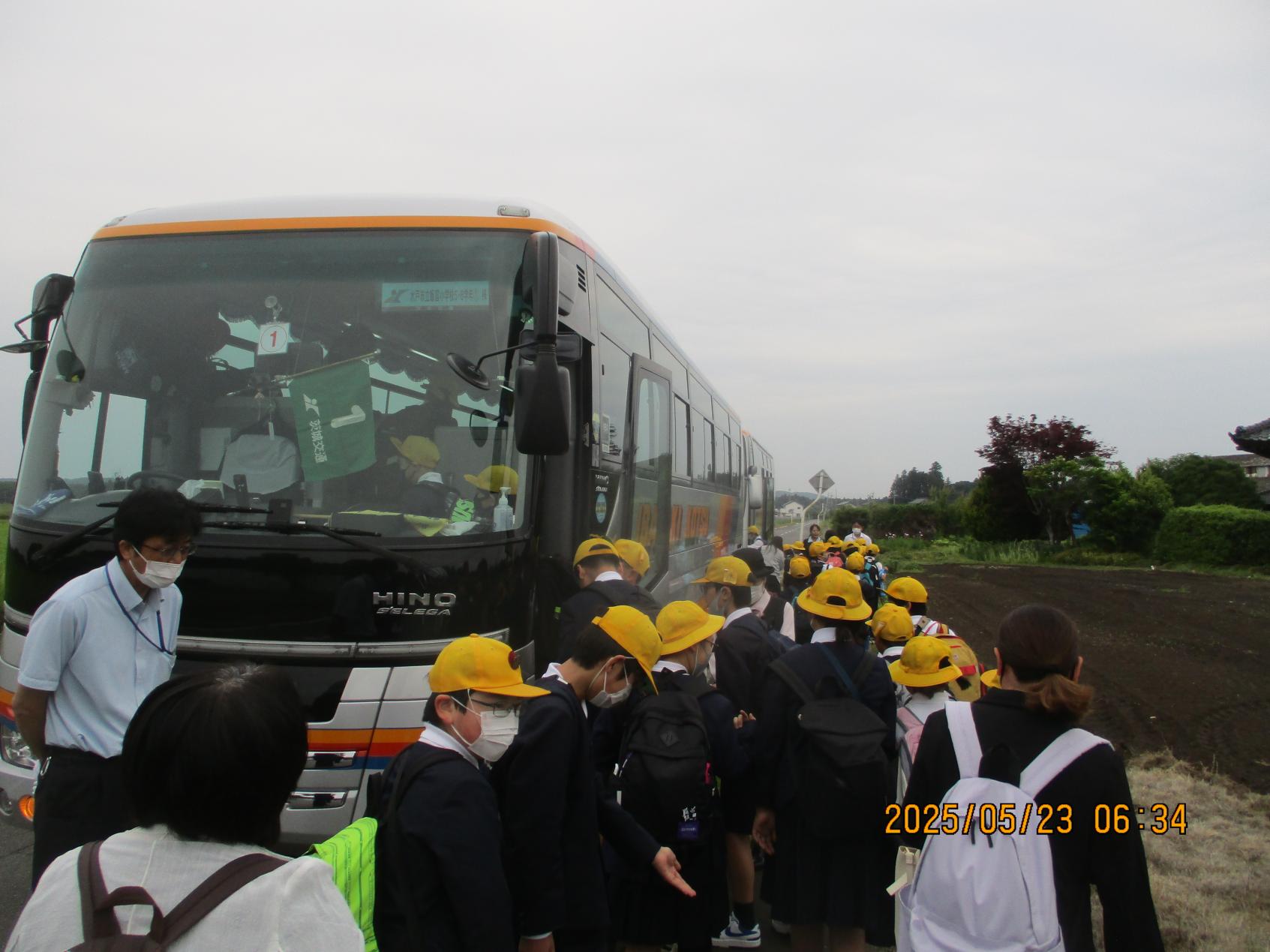 IMG_3973 IMG_3973