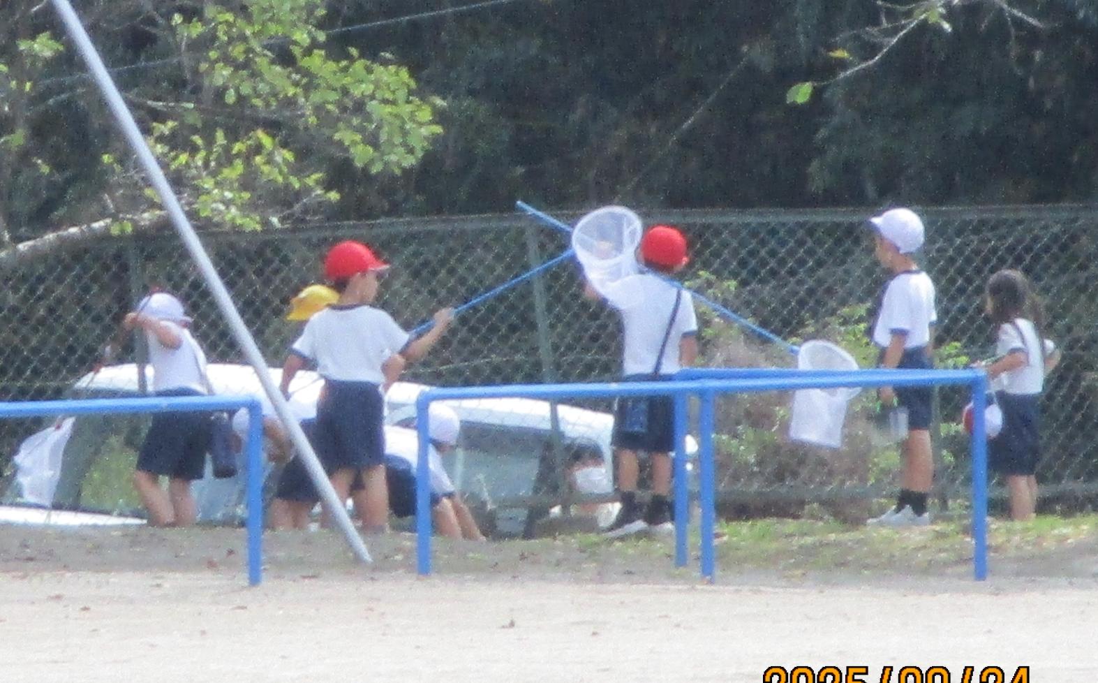 IMG_2798 IMG_2798
