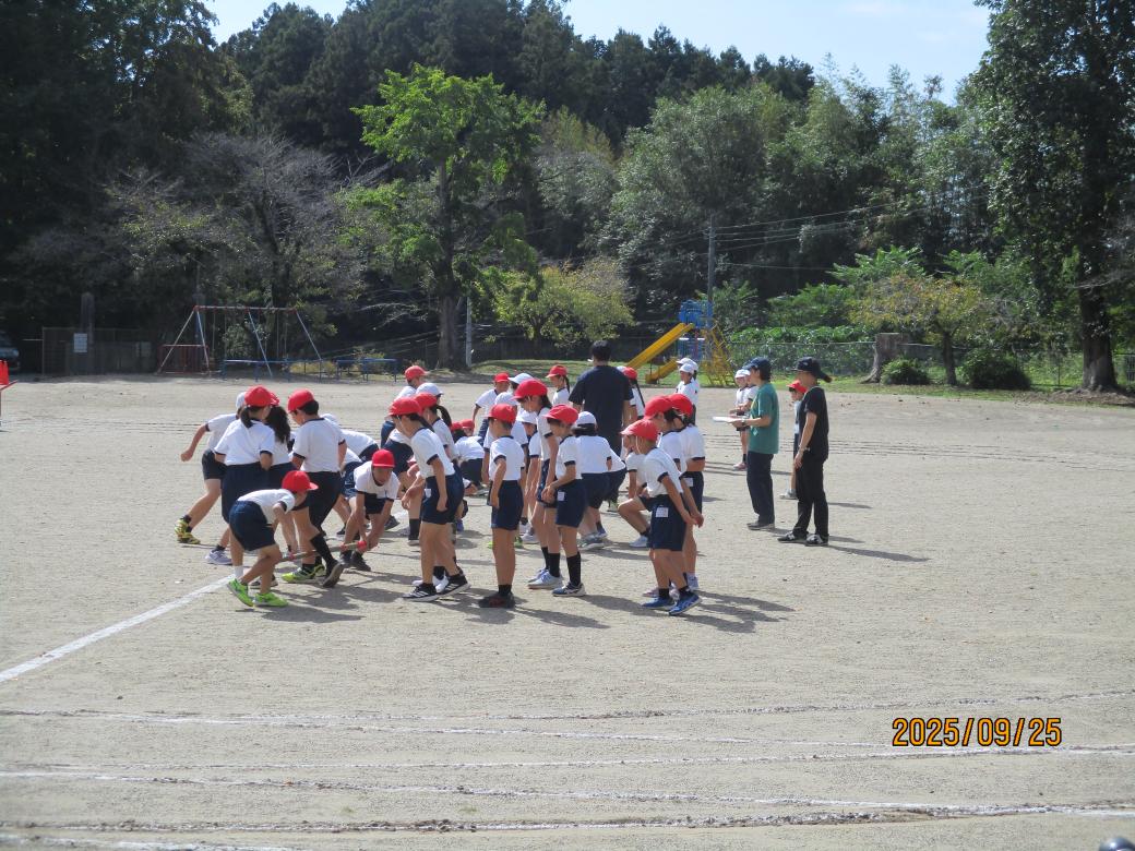 IMG_2811 IMG_2811