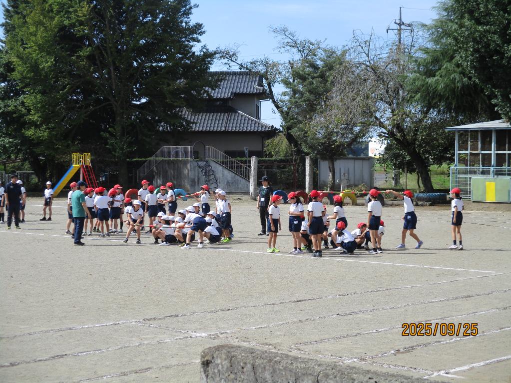 IMG_2810 IMG_2810