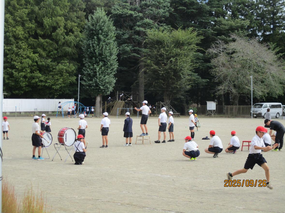IMG_2828 IMG_2828