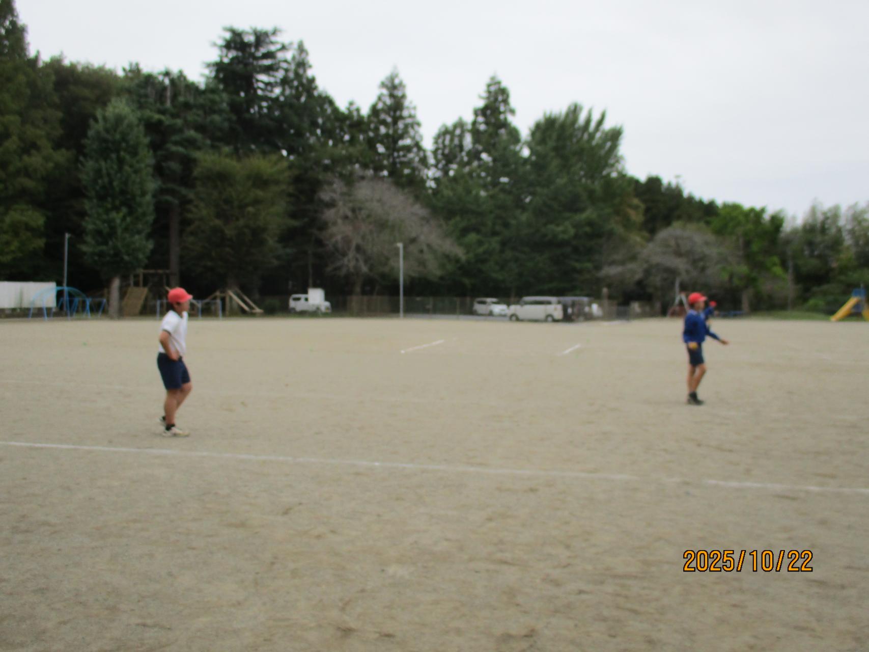 IMG_2941 IMG_2941