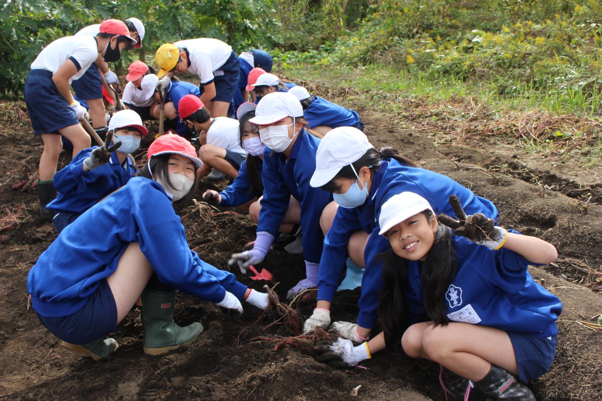 IMG_6132 IMG_6132