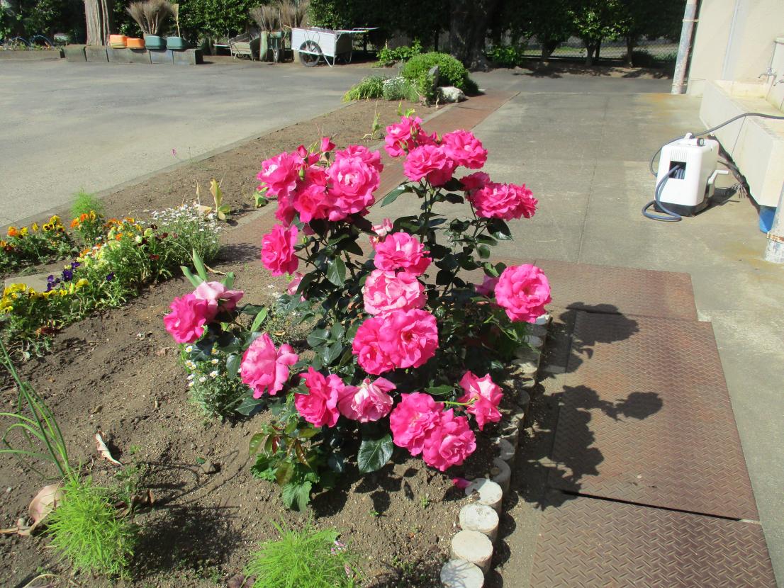 IMG_7854 IMG_7854