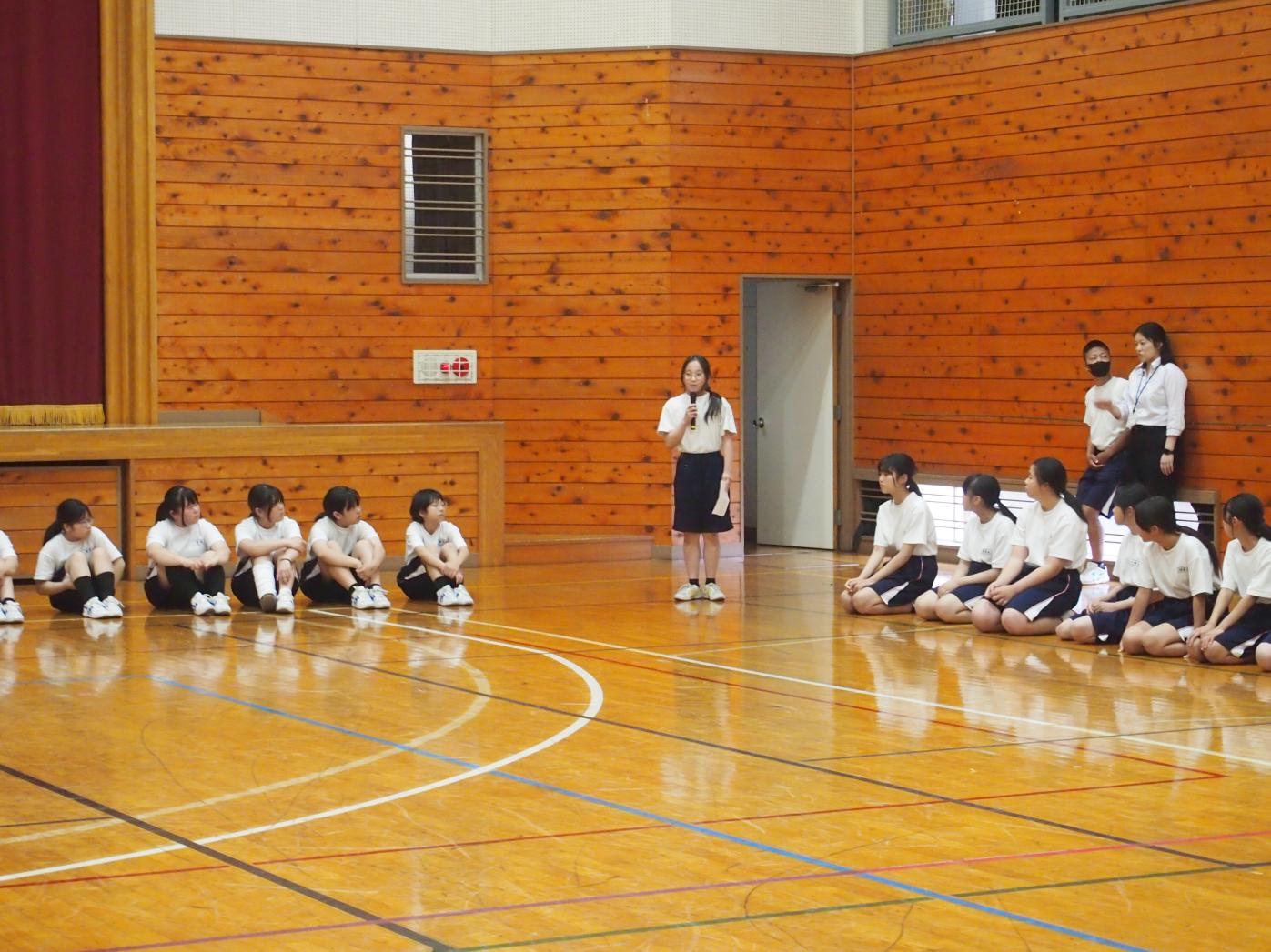 sintaisou sintaisou