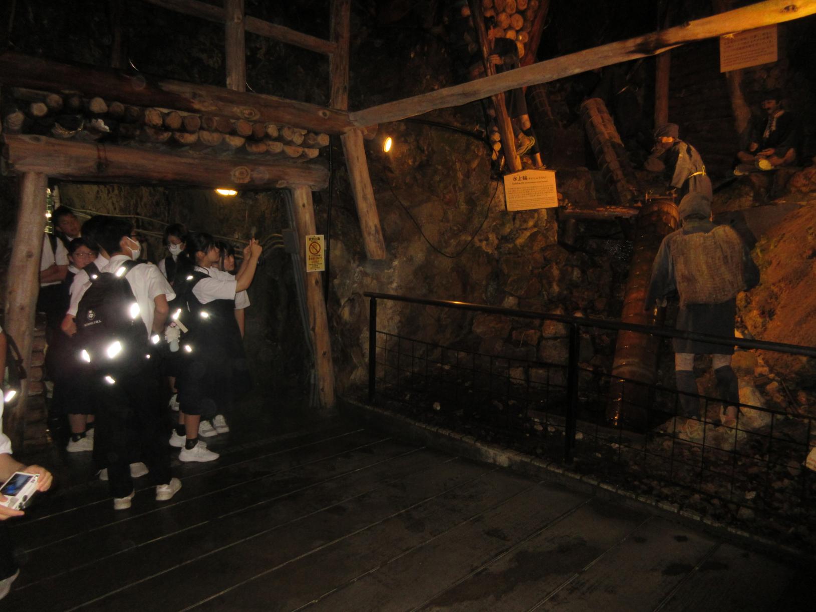IMG_3526 IMG_3526