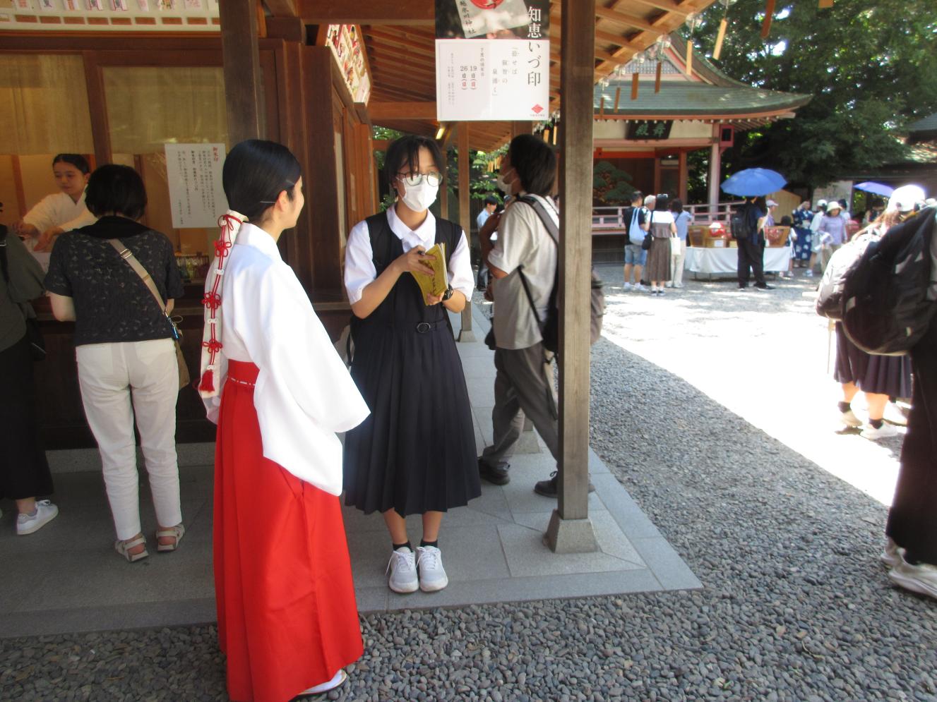 IMG_3717 IMG_3717