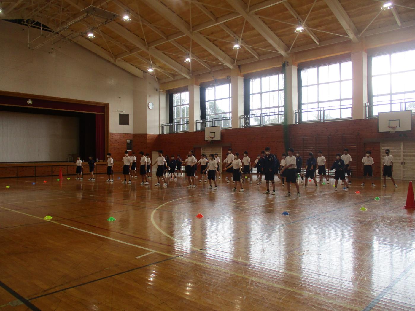 IMG_8287 IMG_8287
