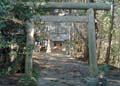 inarijinja_tn