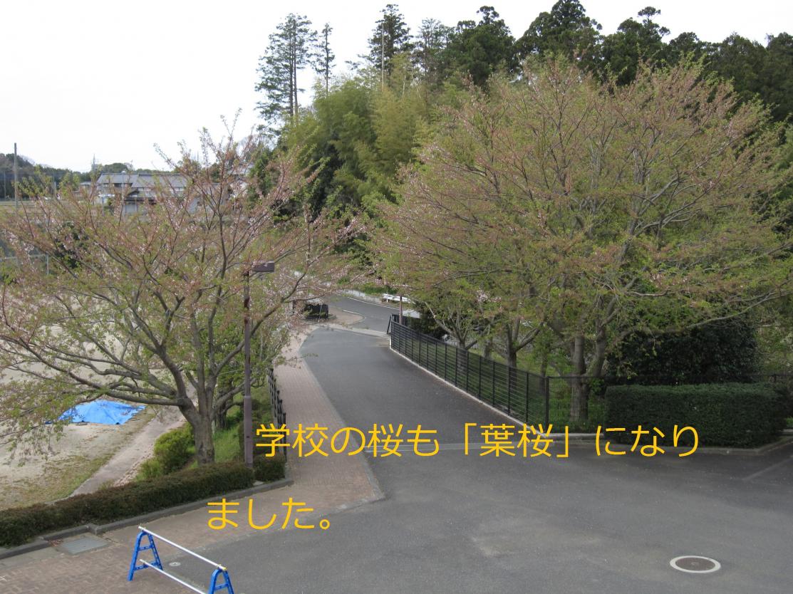 IMG_7169 IMG_7169