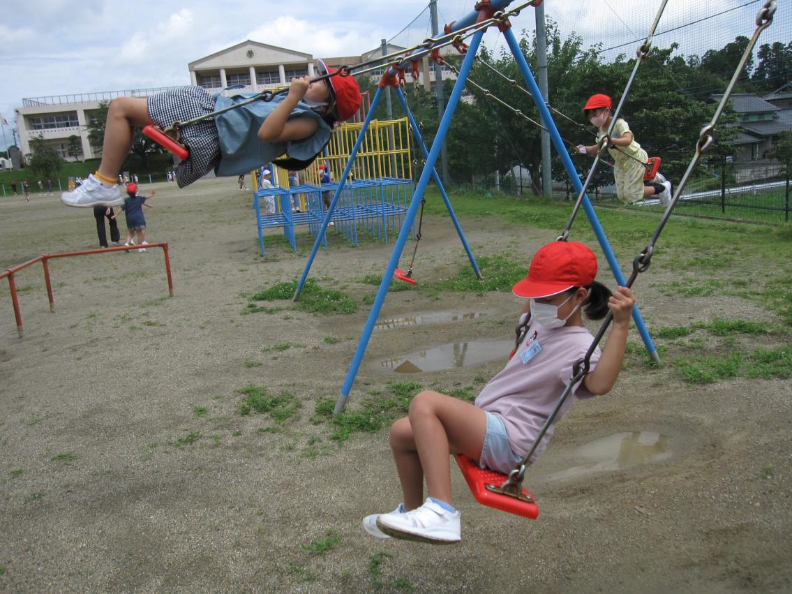 IMG_7805 IMG_7805