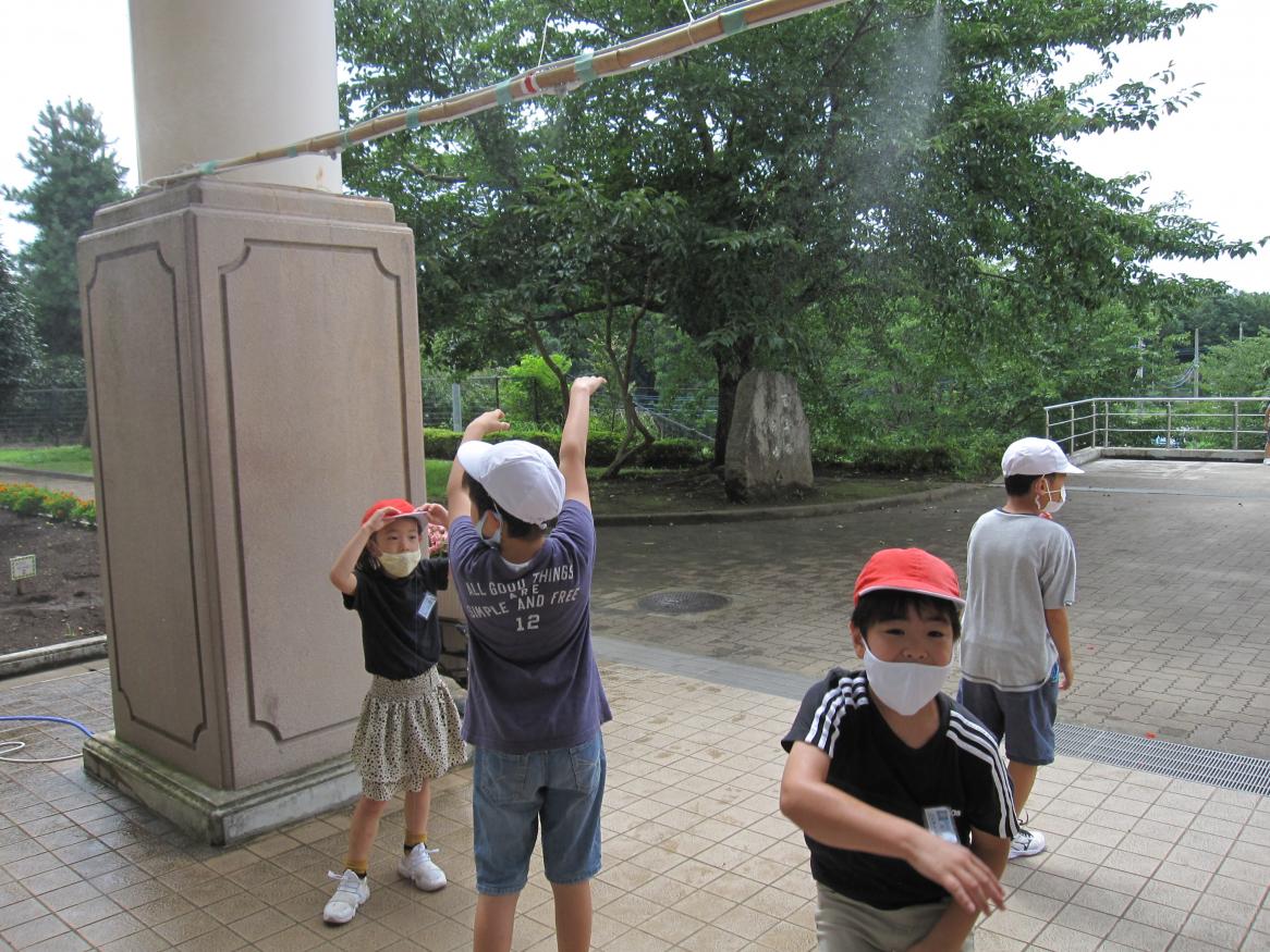 IMG_7803 IMG_7803