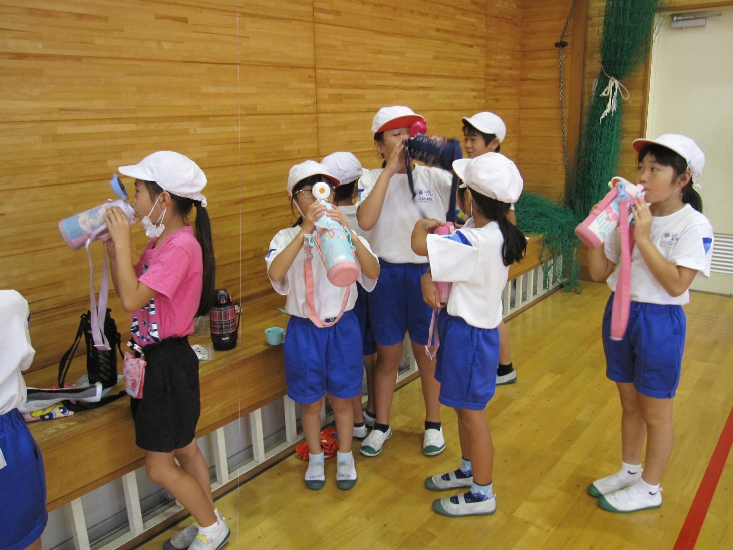 IMG_7910 IMG_7910