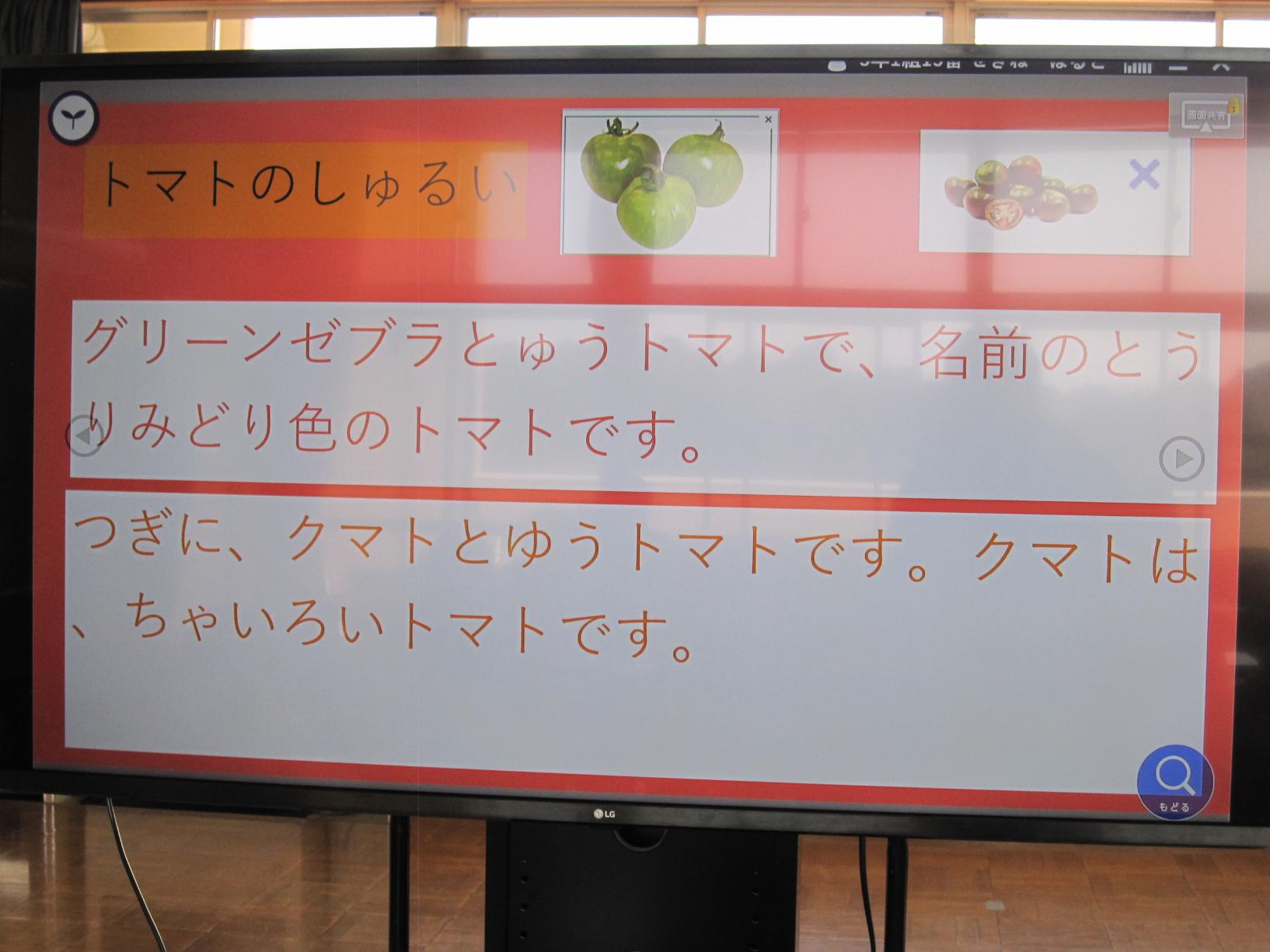 IMG_1251 IMG_1251