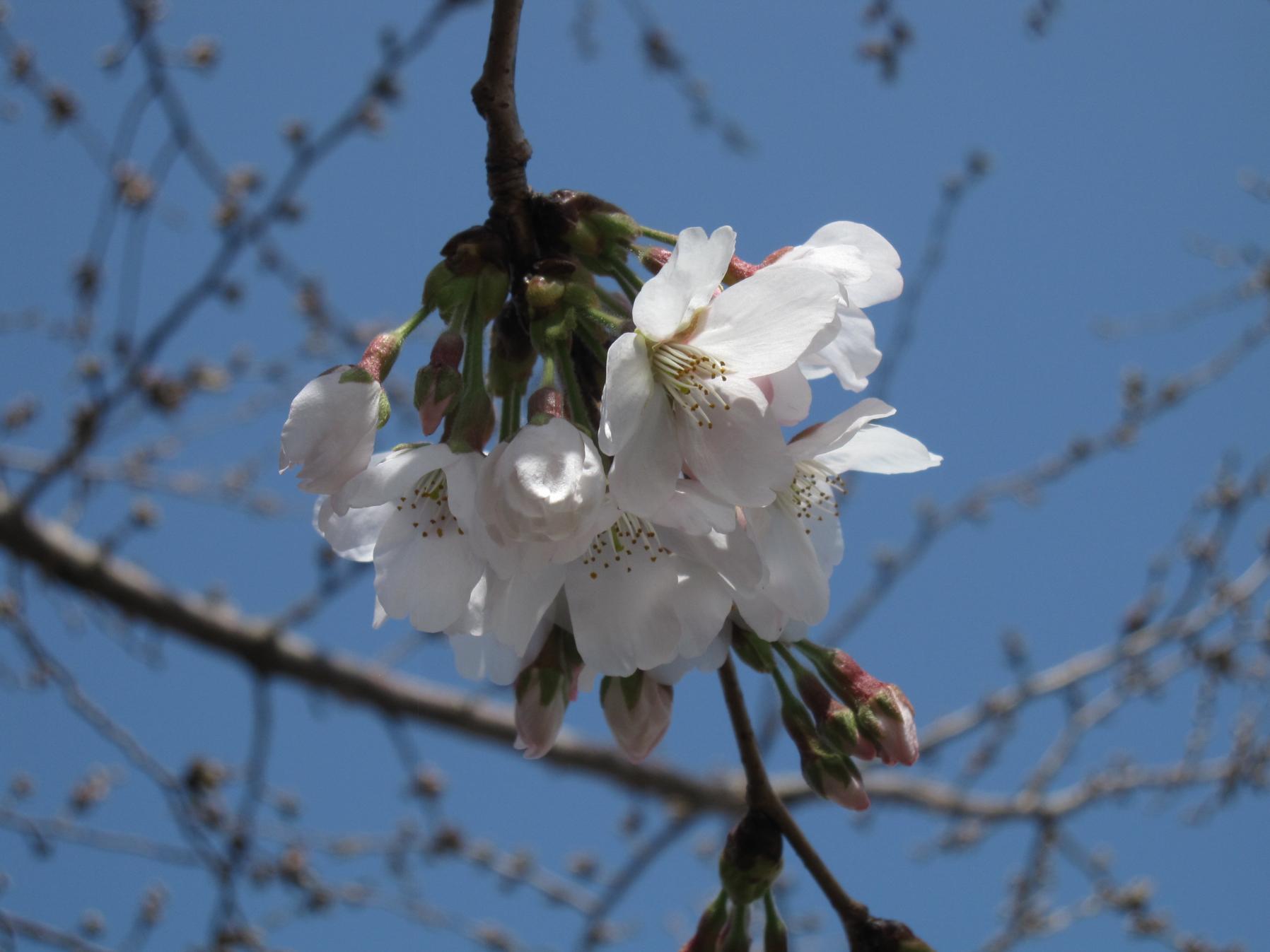 IMG_1449 IMG_1449