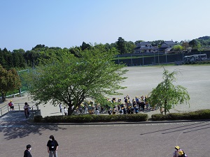 IMGP0002