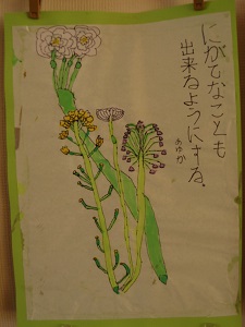 IMGP0016