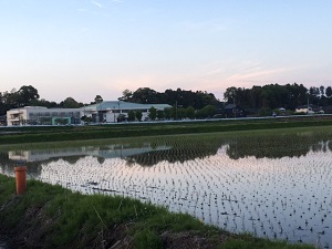 IMG_4023