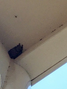 IMG_4400 IMG_4400