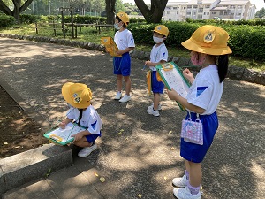 IMG_4438 IMG_4438