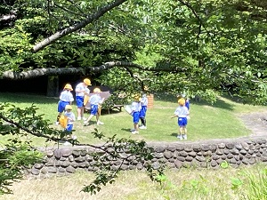 IMG_4436 IMG_4436