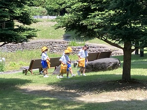 IMG_4439 IMG_4439