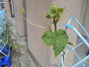 DSCN3429 DSCN3429