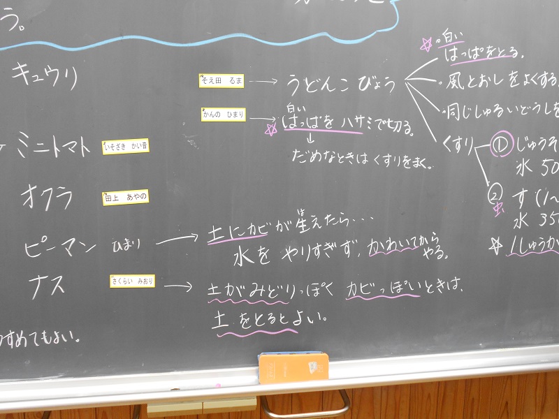 DSCN3410 DSCN3410