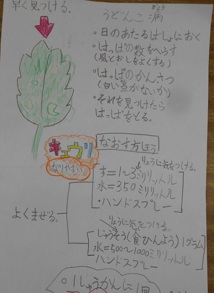 DSCN3416 DSCN3416